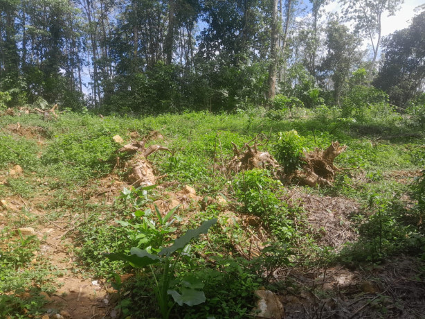 LAND FOR SALE IN KOTTAWA,MORAGAHAHENA