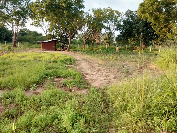 Agricultural Land for sale in Mihintale