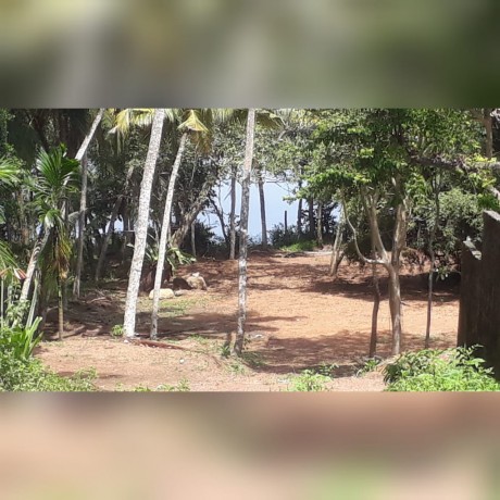 Land bordering to Bolgoda Lake - Yakahaluwagaha Watta Galthude Panadura