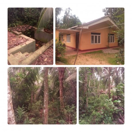 House With Land For Sale in Dodangoda.