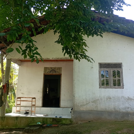 House for Rent in Gampaha, Weliweriya