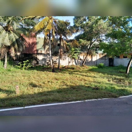 Land for sale  In Wattala