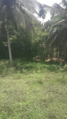 Land For Sale in Galla.