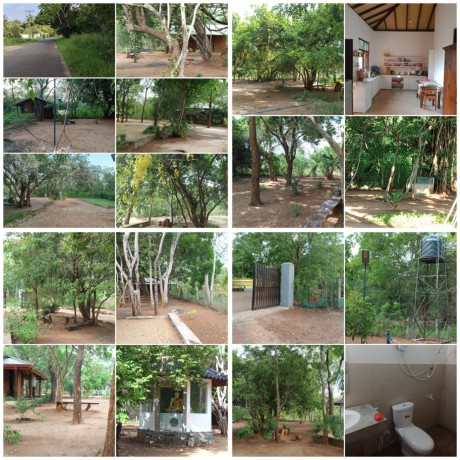 House With  Land  Sale in  Anuradhapura