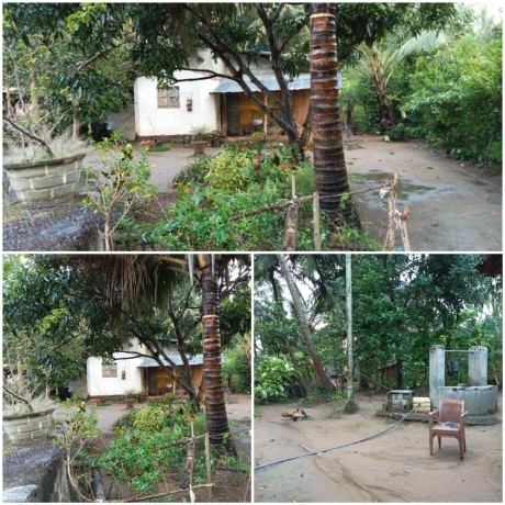 Land and House for sale in Matale