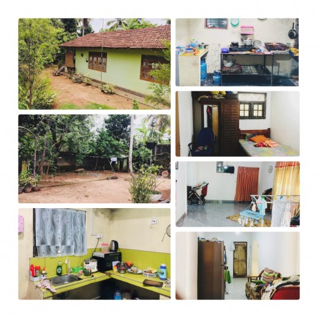 House For Sale in Gampaha- Minuwangoda.