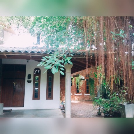 House for Rent  in Panadura
