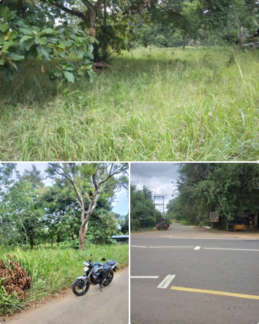 Land For Sale In Puttalam