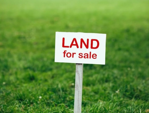 Land For Sale In Aniwaththa