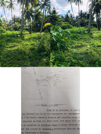 Land For Sale In Galle