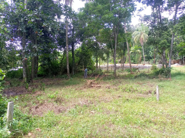 Land For Sale In Asgiriya, Gampaha