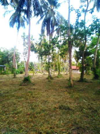 Land For Sale In MARAWILA,