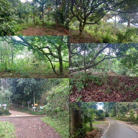 Land For Sale Peradeniya