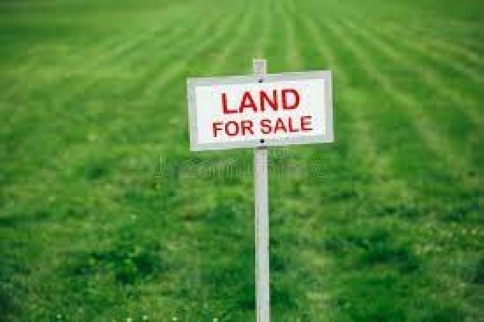 Land For Sale in wekunagoda
