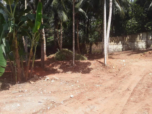 Land for Sale in Delgoda, Mukalana