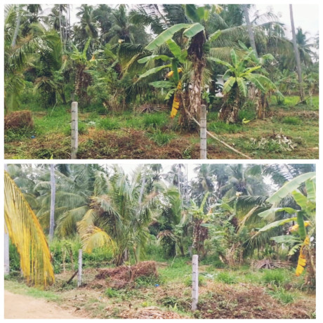 LAND FOR SALE IN WARIYAPOLA