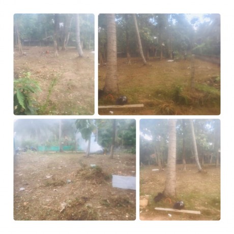 Land For Sale In - MARAWILA.
