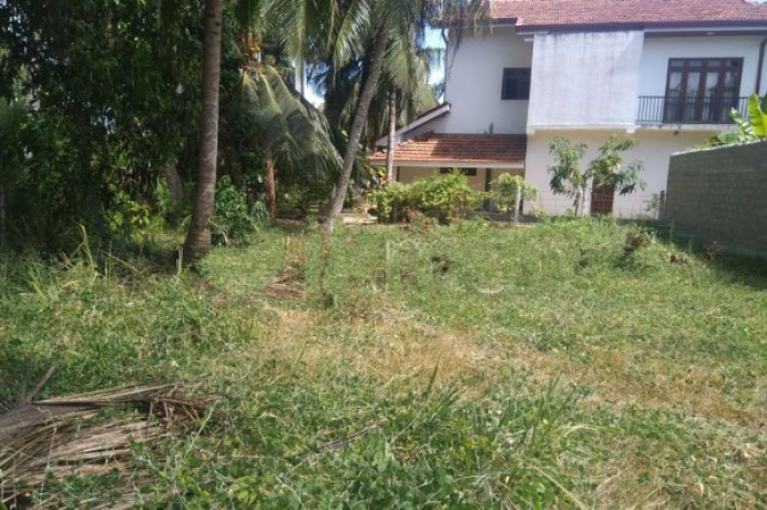 Land For Sale In Chilaw Town Area