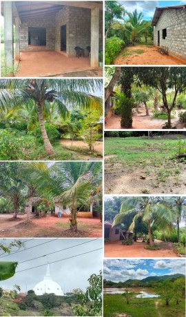 House With Land Sale In - Mihinthale.