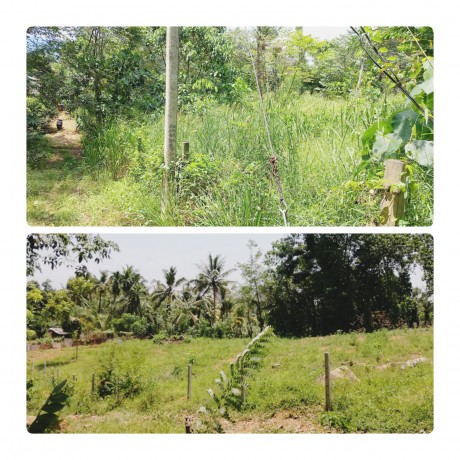 Land For Sale in Elapatha.
