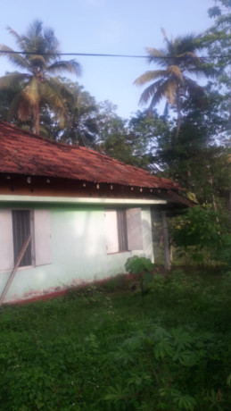 Land for sale in Balummahara