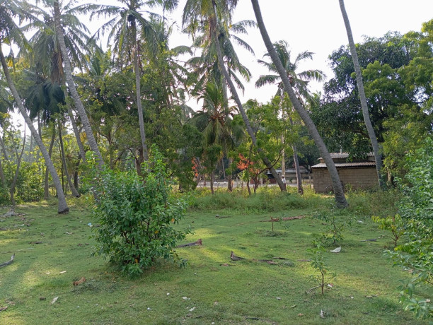 Land For Sale In Puttalam