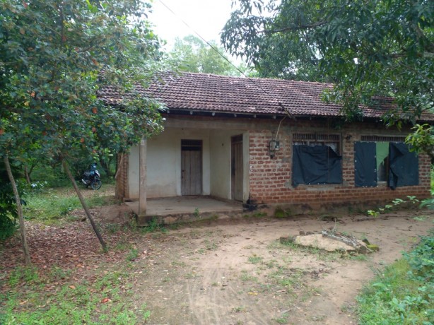 Land with a House for Sale - Anuradhapura