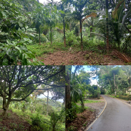 Land For Sale Peradeniya