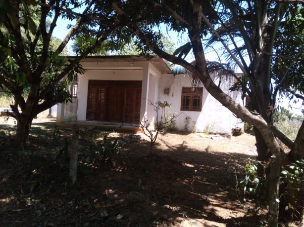 House For Sale In Narammala.