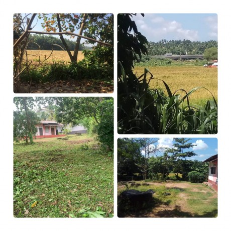 Land For Sale In - Kadawatha.