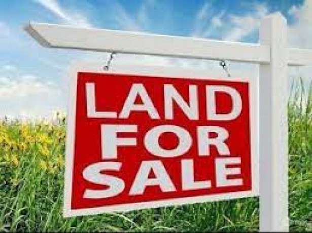 Land For Sale In Alpitiya