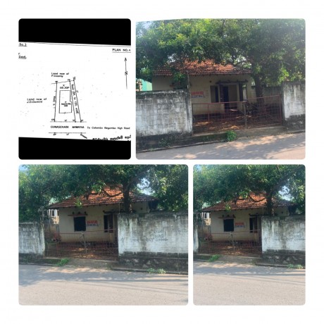 Land For Sale in Wattala.