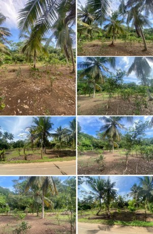 Land For Sale In - WELIGAMA.