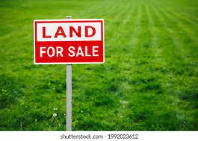 Land for sale in Maddawattha
