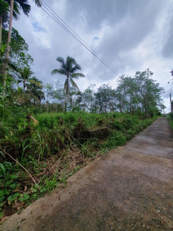 A Land for Sale Near Kiri Ella, Ratnapura