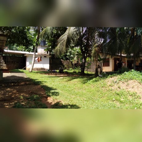 Land For Sale in - Horana.