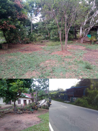 Land for sale with state Bungalow Kagalle