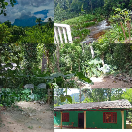 Land with house for sale in  matale