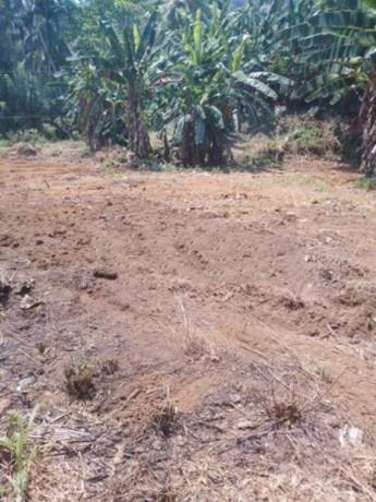 Land for Sale in Rathnapura, Muwagama