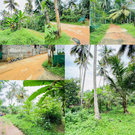 Land For Sale In Panadura