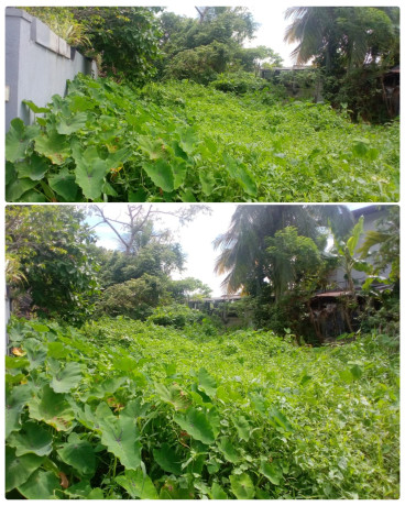 LAND FOR SALE IN Beligaha