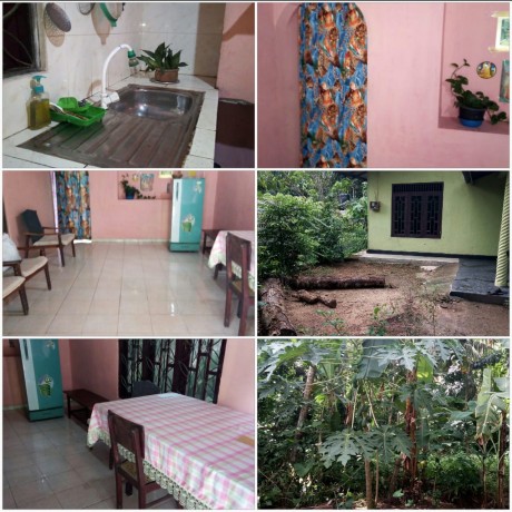 House with Land for Sale Pugoda