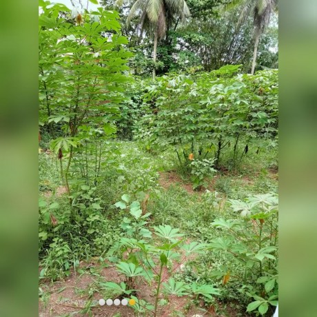 Land For Sale in Gampaha - Dompe.