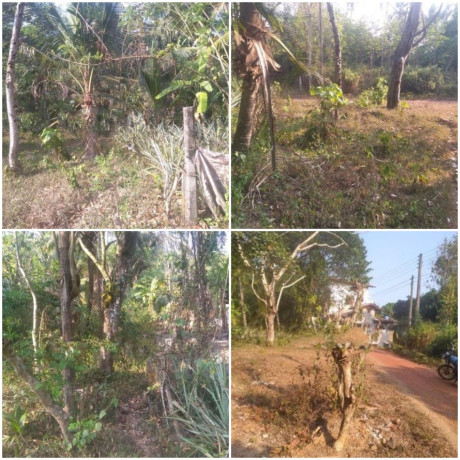 Land For Sale Kamburugamuwa