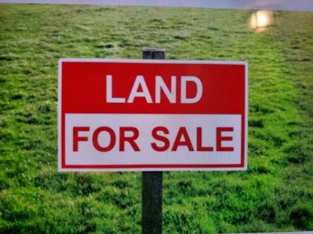 Land for Sale in Nuwara Eliya