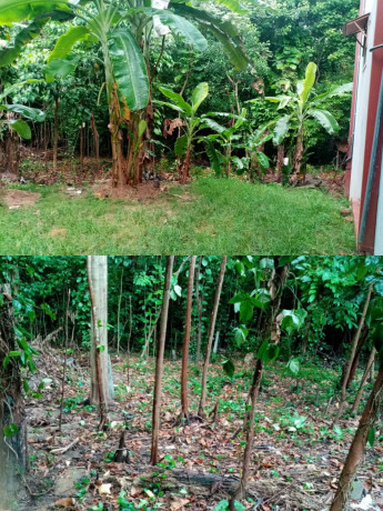 Land For Sale In Galle