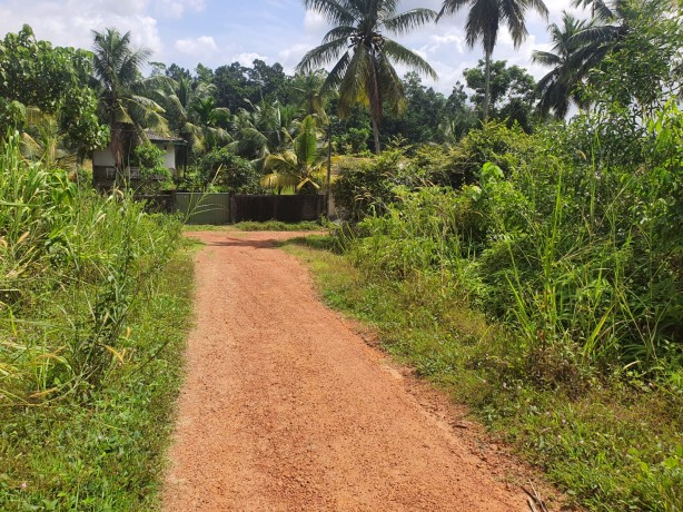 Land for sale at Henegama 1km from Junction