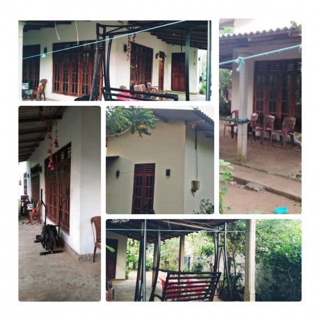 House For Sale in - Anuradhapura.