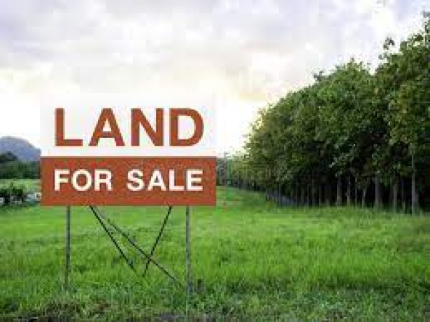 Land For Sale In Kosgama.