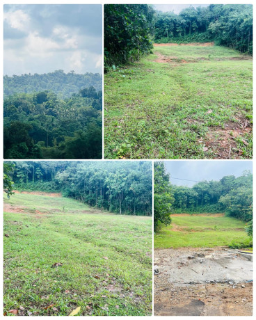 Land For Sale In Horana